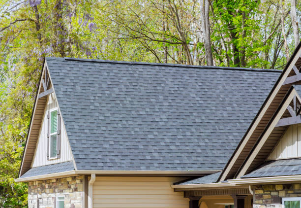 Best Storm Damage Roof Repair  in Webberville, MI